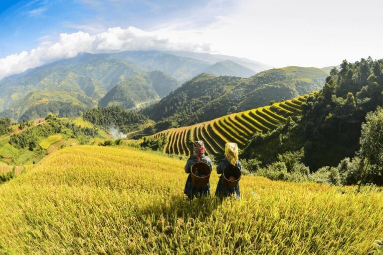 Sapa Rice Fields Vietnam: Discover Northern Vietnam’s Iconic Terraces